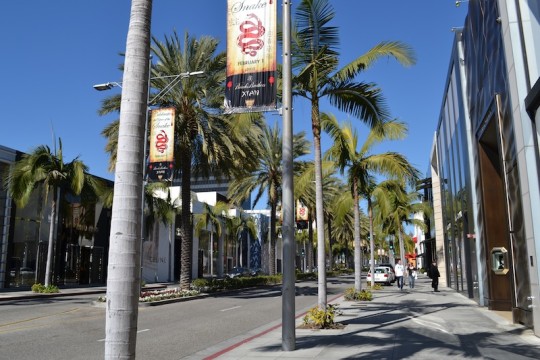 Los Angeles_Rodeo Drive 6