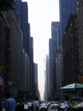 NYC-2007_14