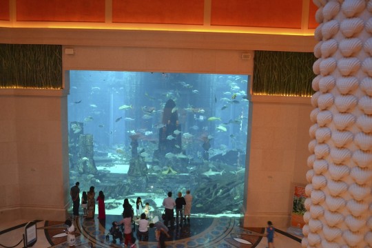 Dubai_Atlantis 10