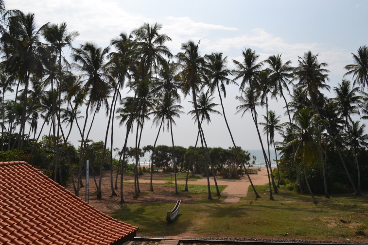 Sri Lanka 13_1